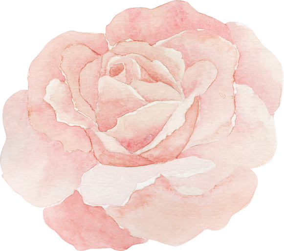 Rose Watercolor